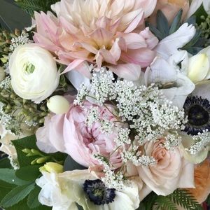 Meet your Posher, Dawn